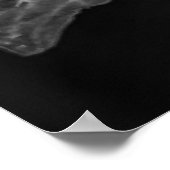 Poster La Pluie Noir - Quinzaine Lily, Transparent (Coin)