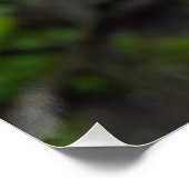 Poster La pluie tombe sur une petite fleur (Coin)