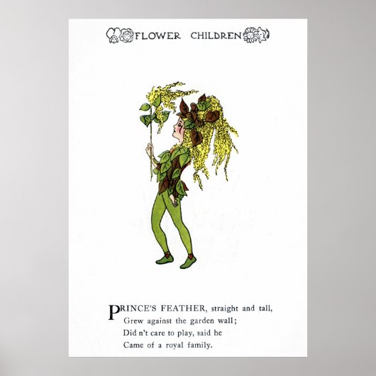 Poster La plume du prince (Devant)