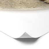 Poster La Plumeria de Starfish Shells sur le sable (Coin)