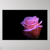 Poster La plus douce des fleurs qui souffle... (Devant)