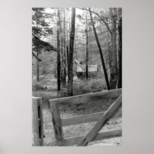 Poster La porte (Devant)