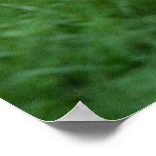 Poster La position de Silverback Gorilla (Coin)