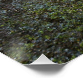 Poster La poupée de Fubby dans un mur. (Coin)