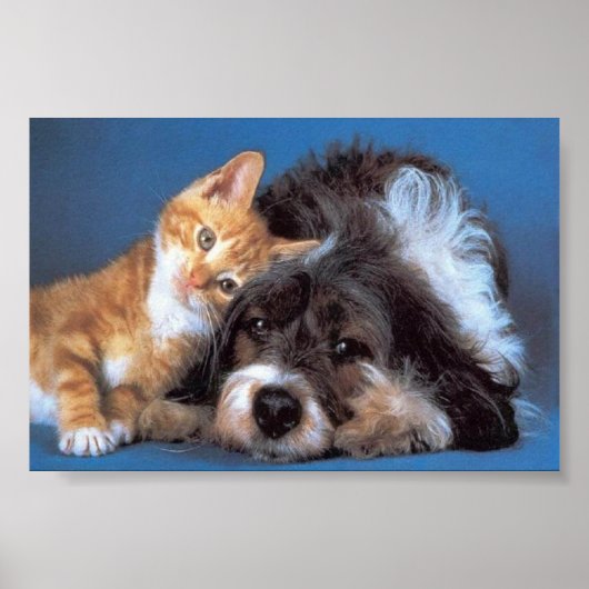 Poster là pour vous (Devant)