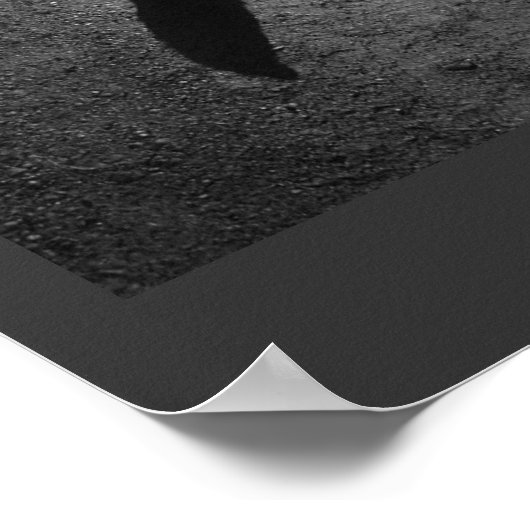 Poster La première aventure de Rebel (Coin)