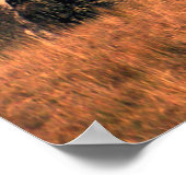 Poster La première neige.... (Coin)