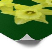 Poster La prière du Seigneur dans un cadre de jonquille (Coin)