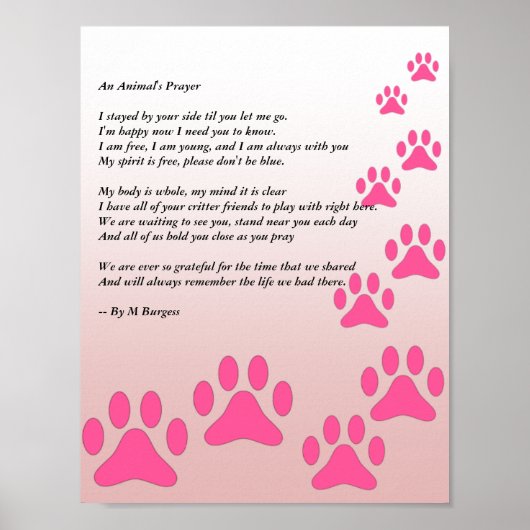 Poster La prière d'un animal - Paws roses - (Devant)