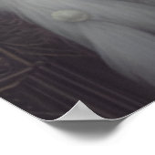 Poster La princesse cygne (Coin)