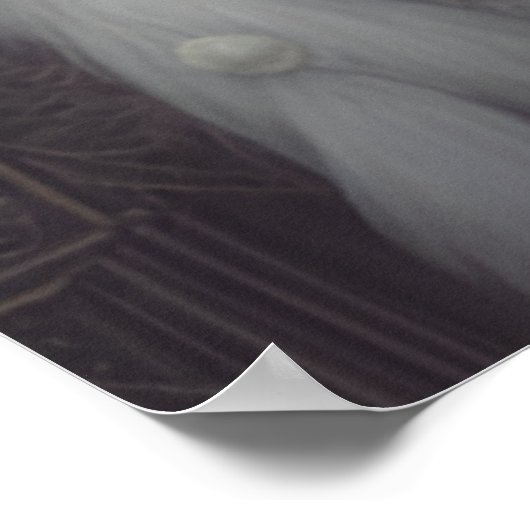 Poster La princesse cygne (Coin)