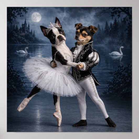 Poster "La Princesse Odette & le Prince Siegfried" (2) (Devant)