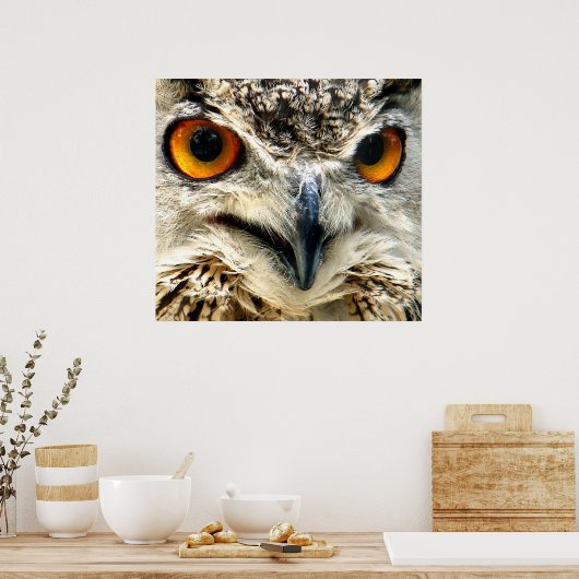 Poster La proie en vue (Cuisine)