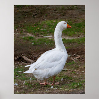 Poster La Promenade