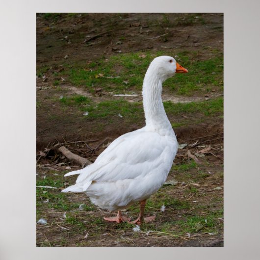 Poster La Promenade (Devant)