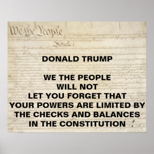 Poster La protestation de Trump We the People Checks and 