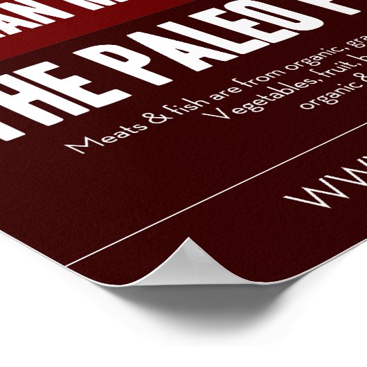 Poster : La Pyramide Paléo (Coin)