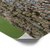 Poster La queue d'un léopard (Coin)