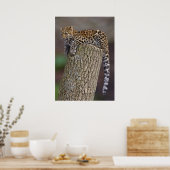 Poster La queue d'un léopard (Cuisine)