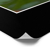 Poster La recherche (Coin)