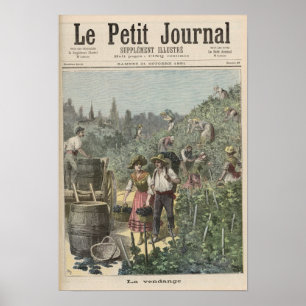 Poster La Récolte De Vins