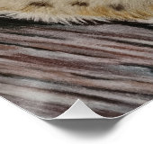 Poster La Reine de la Jungle (Coin)