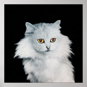 POSTER LA REINE DES CHATS BLANCS