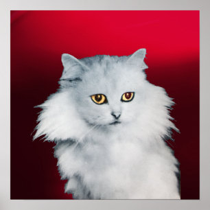 Poster LA REINE DES CHATS BLANCS ,Bourgogne Rouge