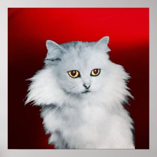 Poster LA REINE DES CHATS BLANCS ,Rubis Rouge