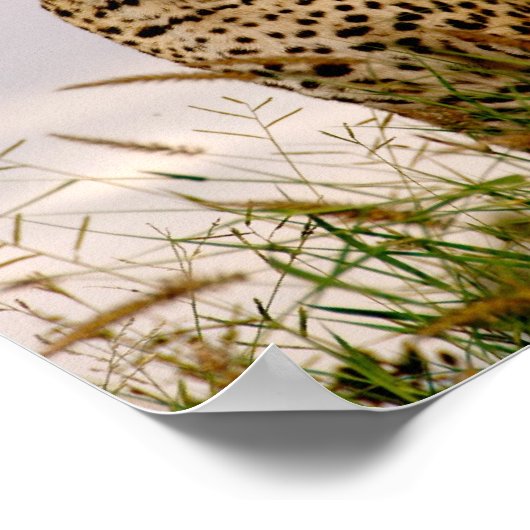 Poster La rive de la rivière Dudley (Coin)