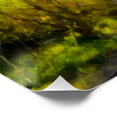 Poster La rivière (Coin)