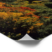 Poster La rivière Big Carp en automne à Porcupine (Coin)