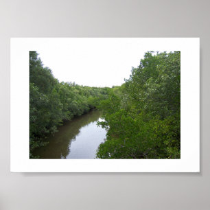 Poster La Rivière Green Australie Photographie couleur