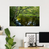 Poster La rivière Taunton à Bridgewater, (Bureau à domicile)