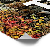 Poster La Rivière Traverse (Coin)