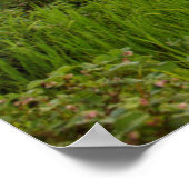 Poster La rivière Whitefish avec de beaux nuages au lever (Coin)