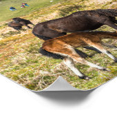 Poster La roche de Pony Haytor dans le parc national de D (Coin)