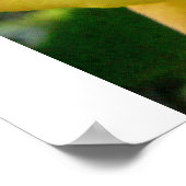 Poster La rose jaune (Coin)