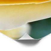 Poster La rose jaune (Coin)