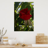 Poster La Rose rouge (Cuisine)