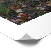 Poster La rouille nous prend tous (Coin)