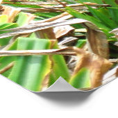 Poster La Route De Hana (Coin)