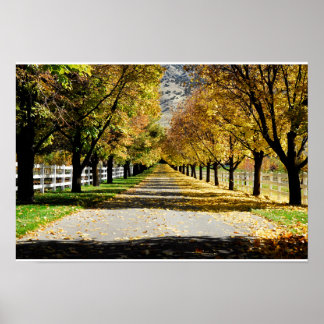 Poster La route des couleurs