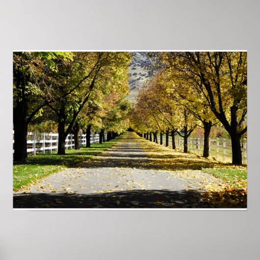 Poster La route des couleurs (Devant)