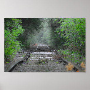 Poster La route moins a voyagé