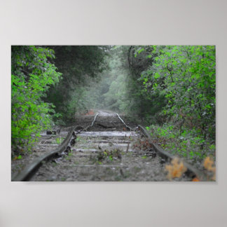 Poster La route moins parcourue