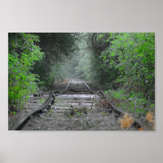 Poster La route moins parcourue (Devant)