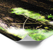 Poster La route non parcourue (Coin)