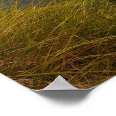 Poster La ruche, Parc national de l'Acadie, Maine (Coin)