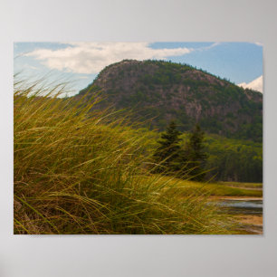 Poster La ruche, Parc national de l'Acadie, Maine